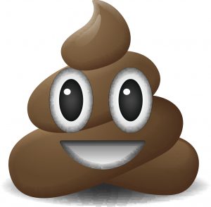 A poop emoji