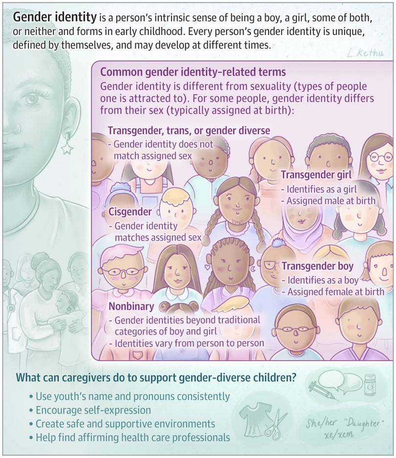 A gender identification infographic.