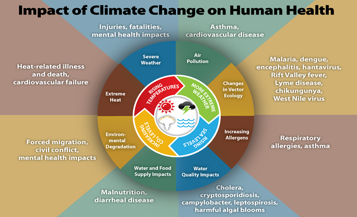 a chart showing the impact of climate change on human health