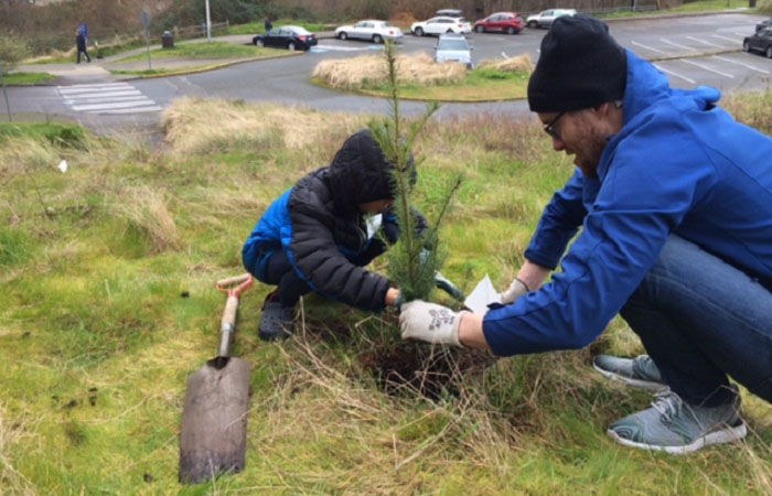 A father and son plant a tree