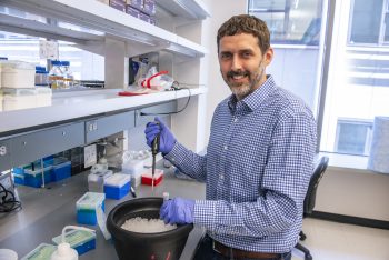 Dr. Richard James is leading research to edit human B plasma cells to act as cell factories capable of delivering sustained, high doses of a therapeutic protein.