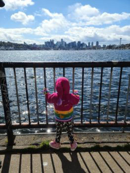 A child stands at a fence overlooking the water