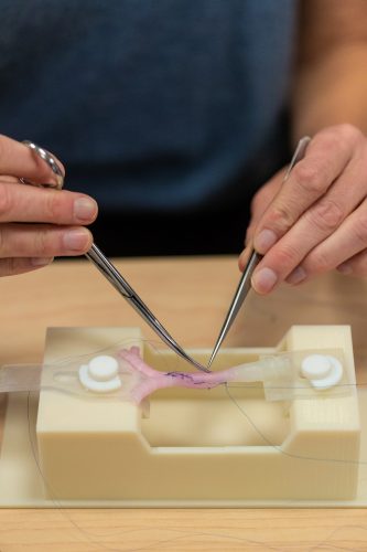 A doctor works on a 3D model