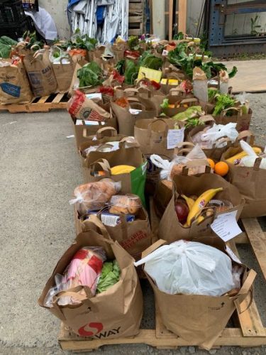 bags of groceries lined up