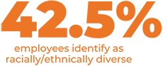 42.5% of employess identify as racially/ethnically diverse