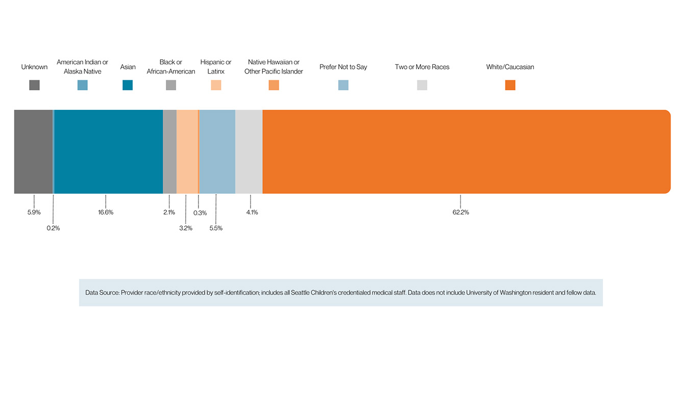 Medical Staff Representation by Race/Ethnicity