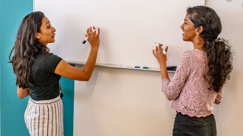 Scientists at whiteboard