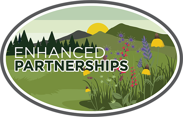 Enhanced Partnerships