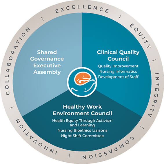 Diagram of Seattle Children's Share Governance Model