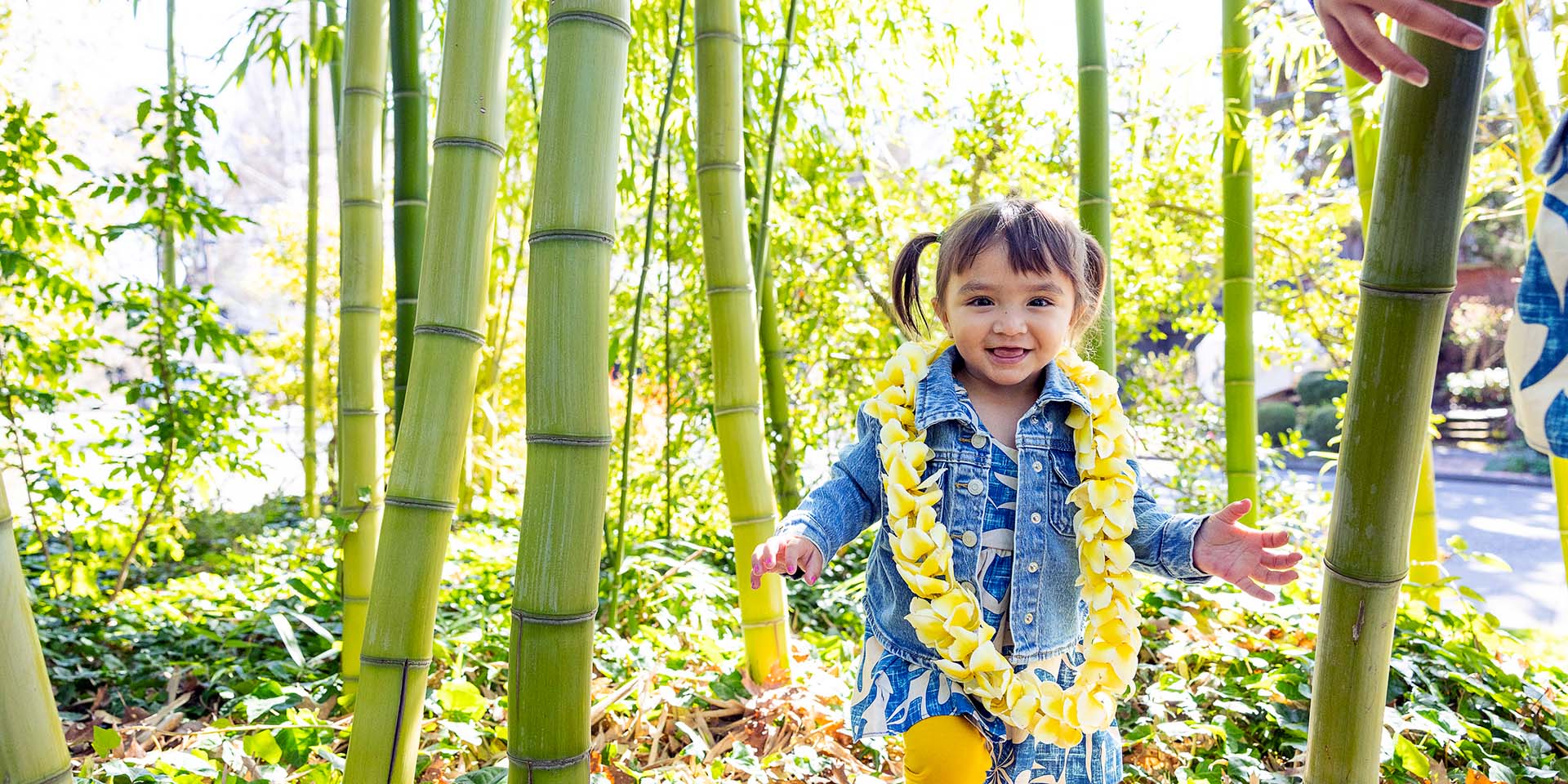 A three-year-old girl runs through a bamboo forest