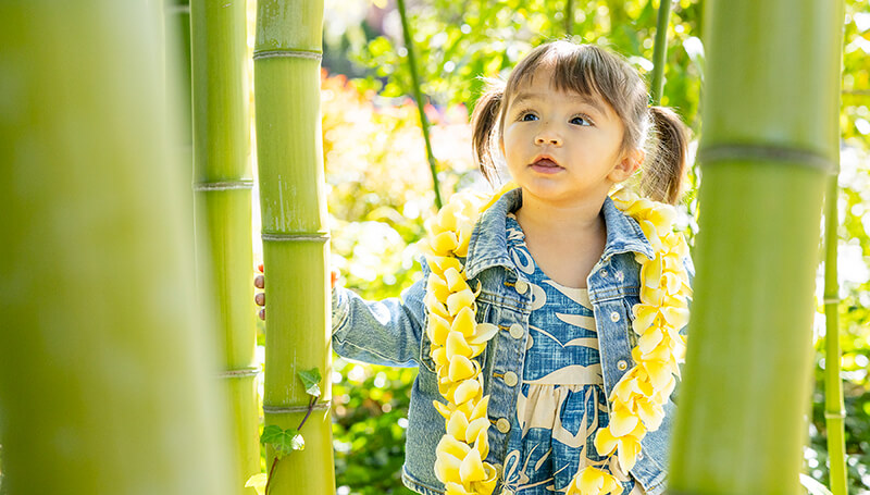 Girl with pigtails wearing a yellow lei among bamboo stalks