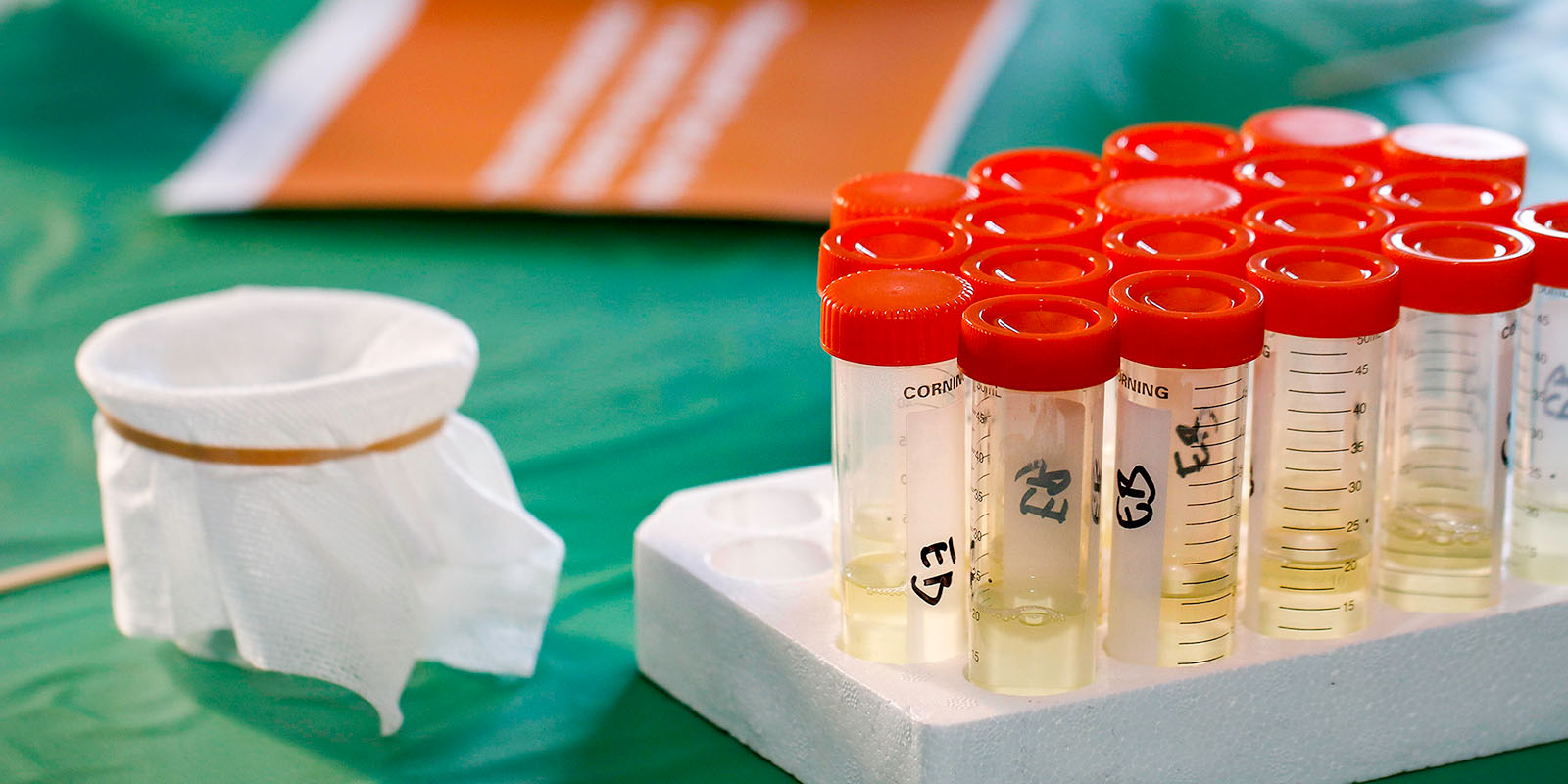 Test vials sit on a table