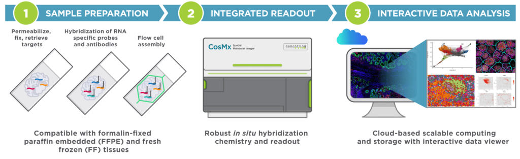 Infographic describing workflow of NanoString CosMx Spatial Molecular Imager