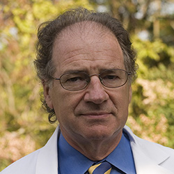 Frederick P Rivara, MD, MPH 